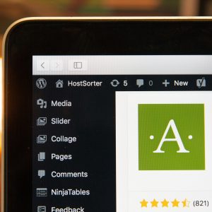stephen-phillips-hostreviews-co-uk–zRNvl3EUdw-unsplash Personalized AJAX Search and Filter Module for WordPress or Custom Sites